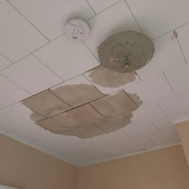 Ceiling Water Damage Repair in Howard Lake, MN