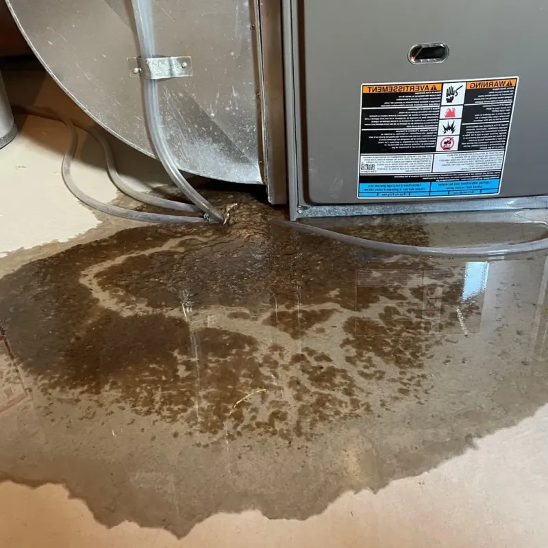 Pipe Burst and Leak Restoration in Howard Lake, MN