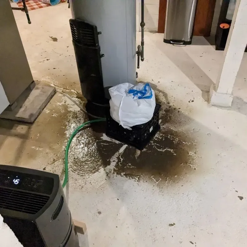 Sewage Backup Cleanup Service in Howard Lake, MN
